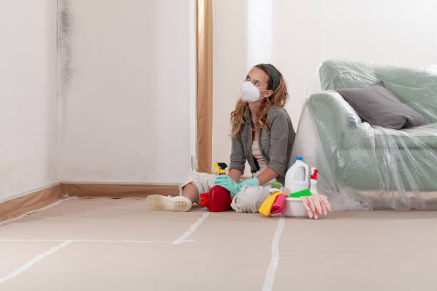 Reliable Mold Remediation contractor in Old Westbury, NY by WQB Mold Removal